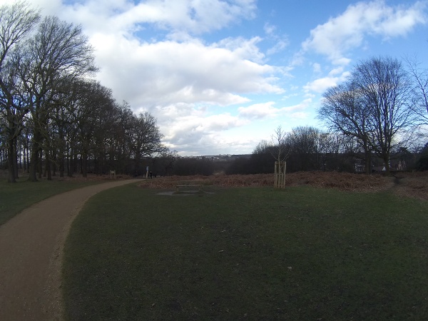 Richmond Park looking towards the A3