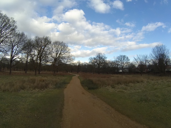 Richmond Park near Sheen Gate