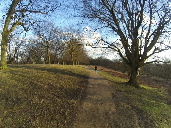 Richmond Park heading towards Ham Gate