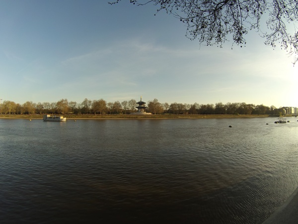 Looking across the river towards Battersea Park