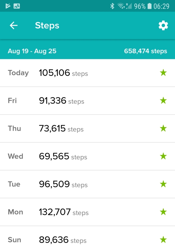 Fitbit steps by day