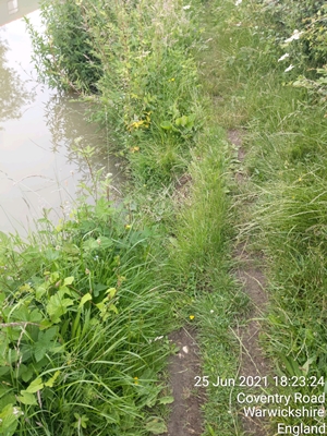 Overgrown Oxford Canal trail