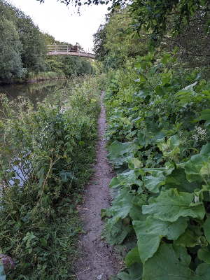 Warwickshire Ring Canal Race single track